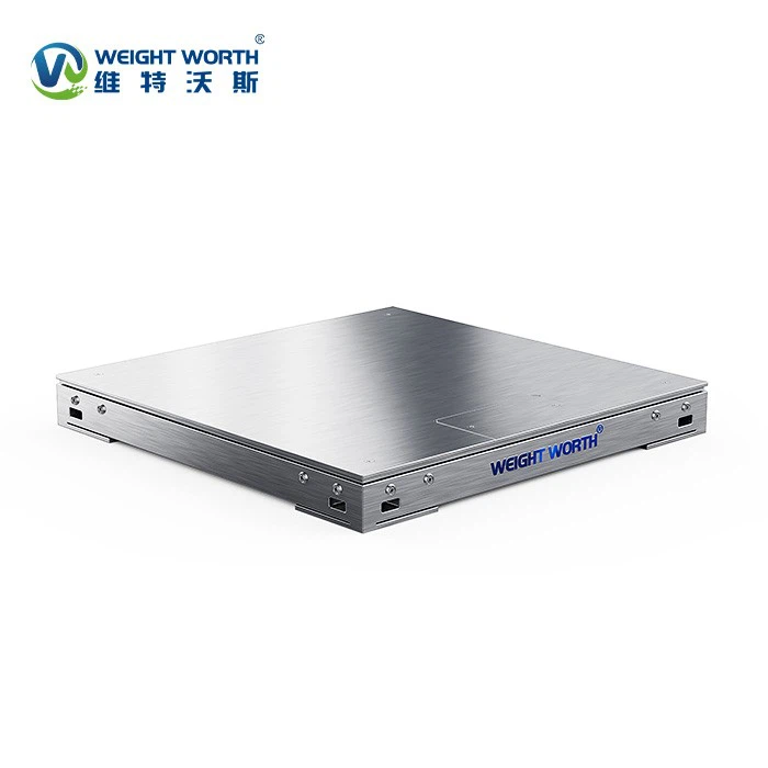 Stainless Steel Pit Frame Floor Scales